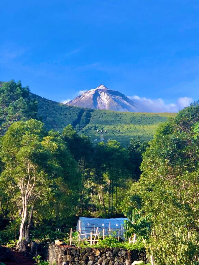 Quinta Pereirinha Farm - Bed & Breakfast - Pico Island, Azores - Private 3 Bedroom Home On A Working Farm W Ocean Views São Roque do Pico Kültér fotó