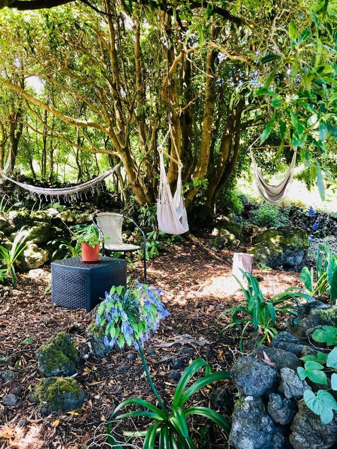 Quinta Pereirinha Farm - A Private 3 Bedroom Vacation Home, Close To Hiking W Ocean Views - Pico Island, Azores São Roque do Pico Kültér fotó